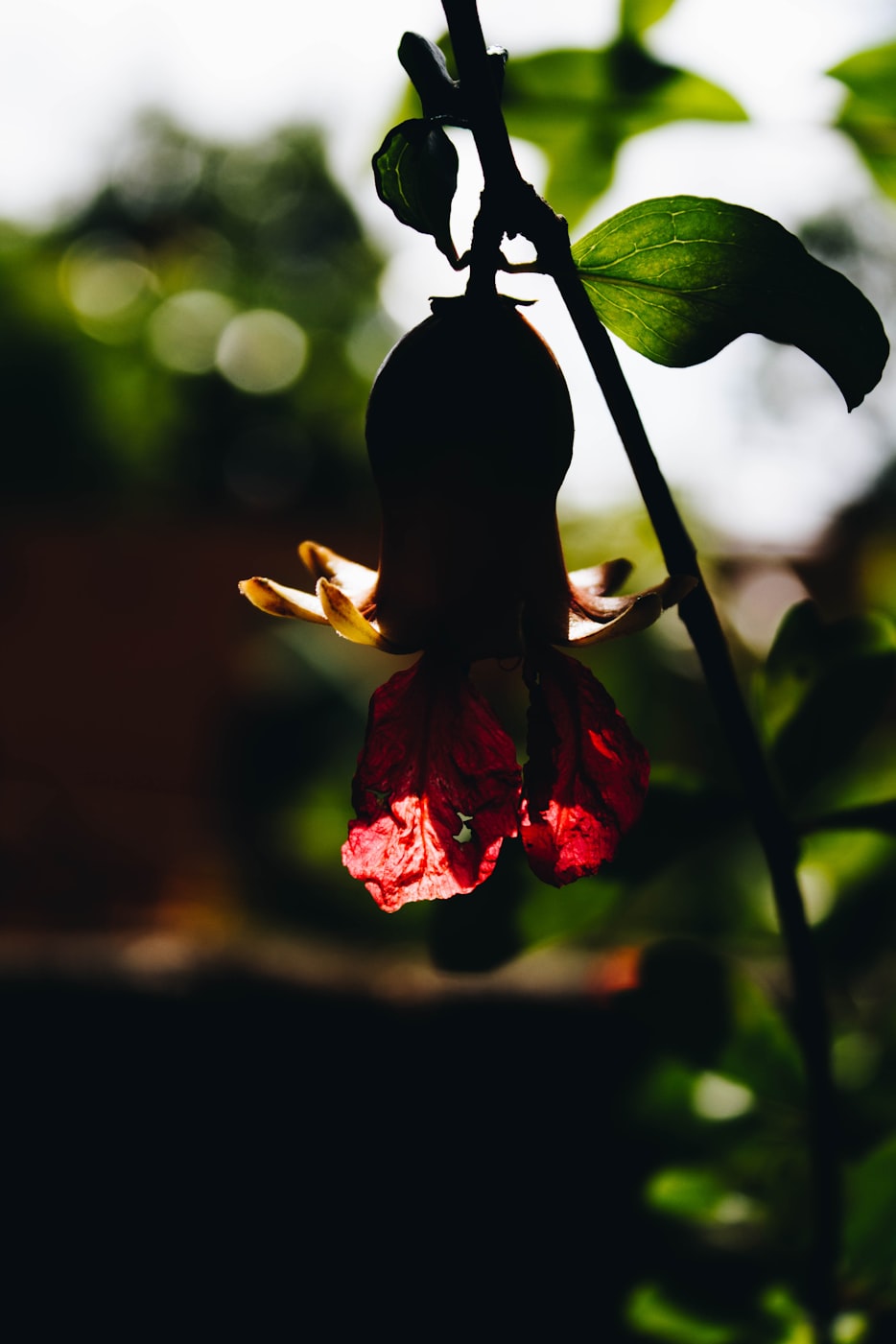 保定东湖天地最新动态揭秘，城市新地标的发展脉络与未来展望