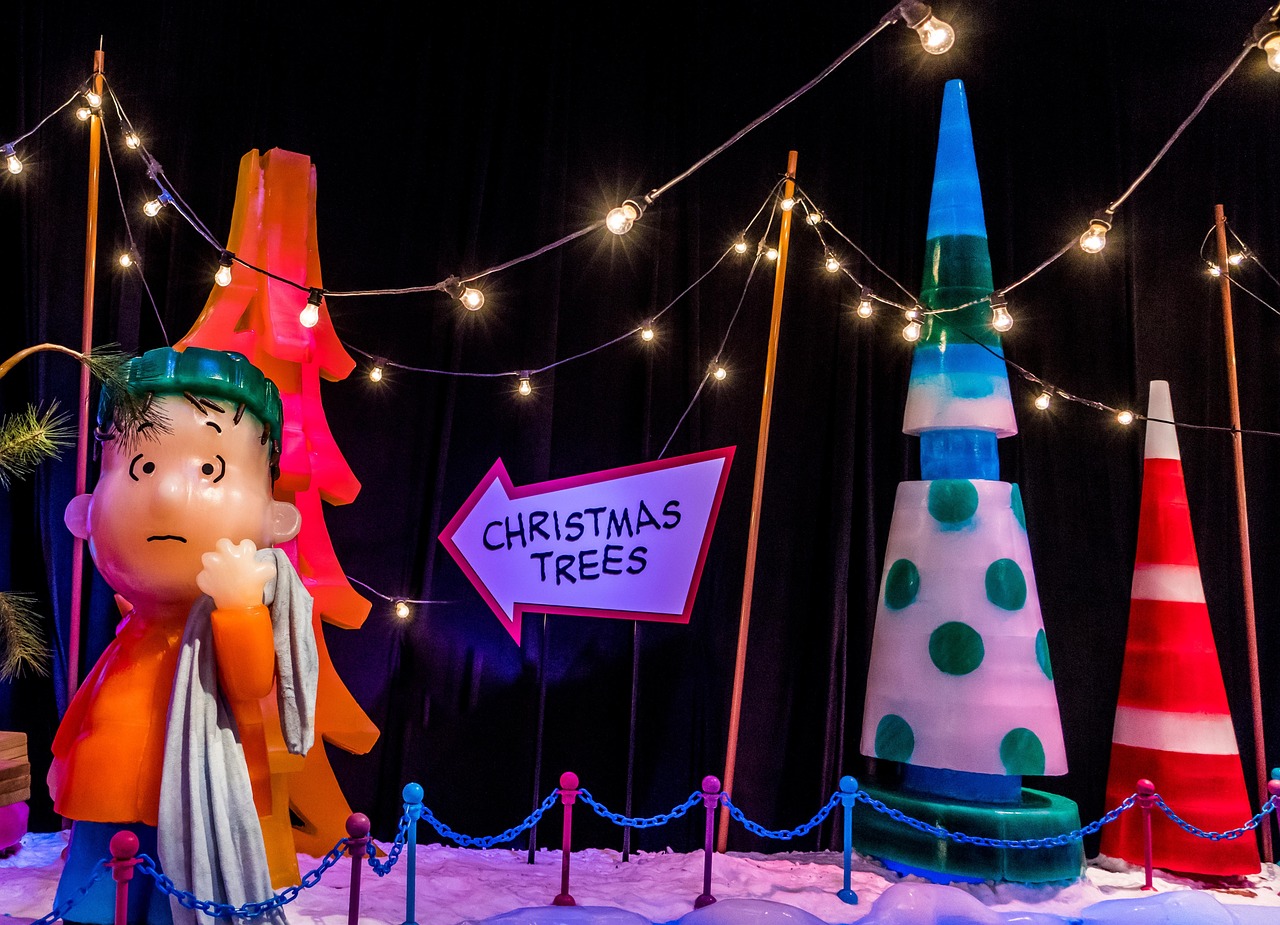 2017社会纵横全新节目展望,启程未来,深度解读社会热点事件与趋势