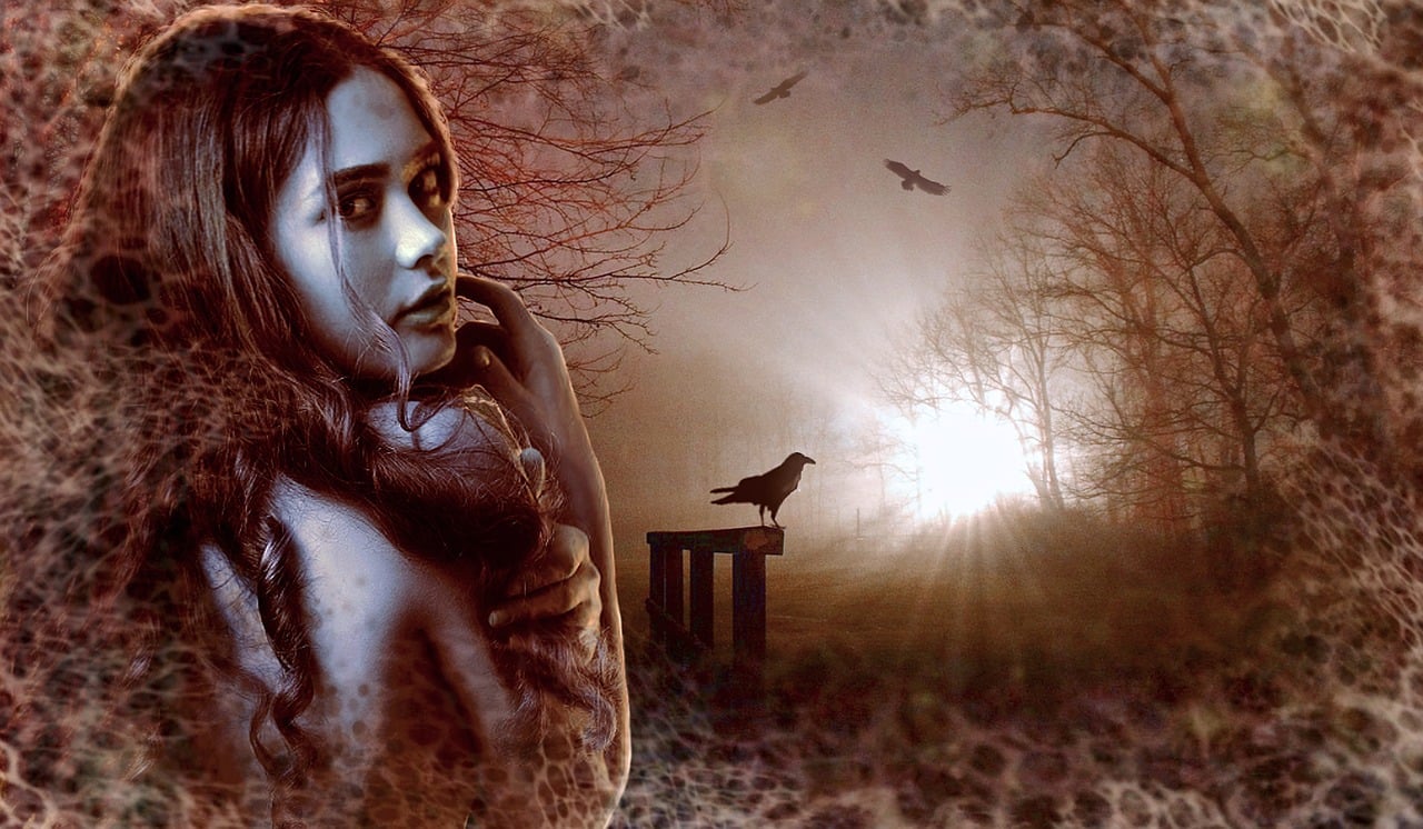 探寻神秘世界的奇幻之旅,龙图卷集最新章节