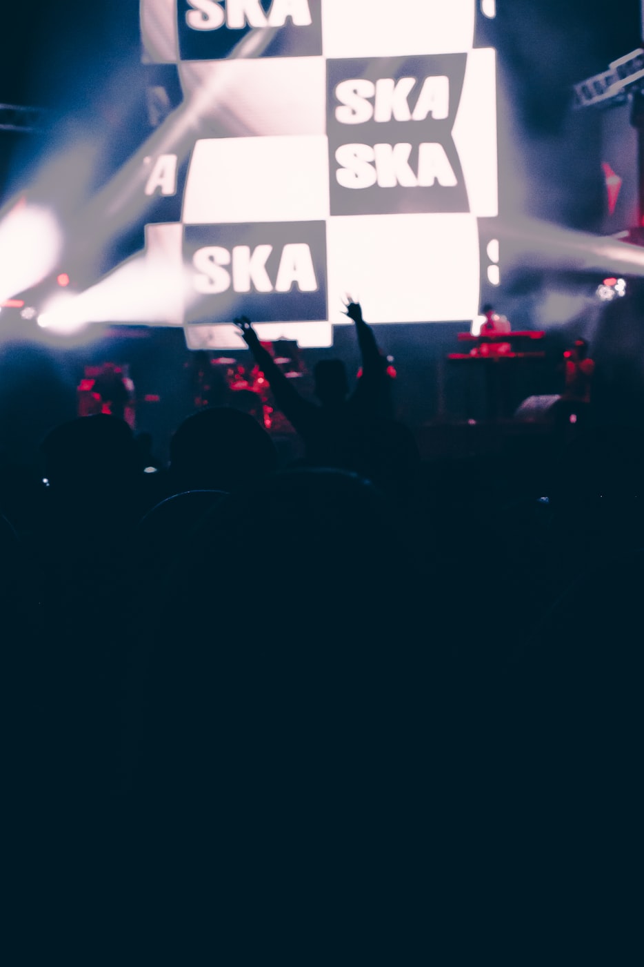 银行服务明星,金融领域的璀璨之星闪耀光芒