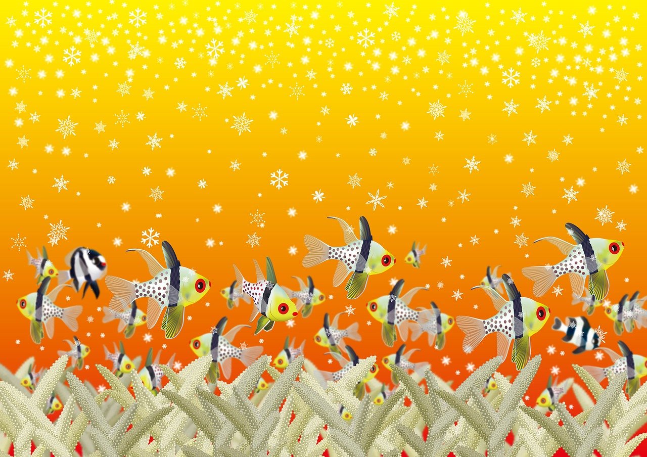 幼师讲故事比赛视频,精彩瞬间,激发儿童想象力