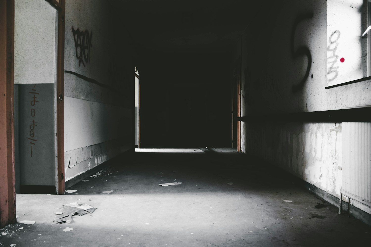 最新悬疑惊悚电影,未知恐惧与神秘的探索