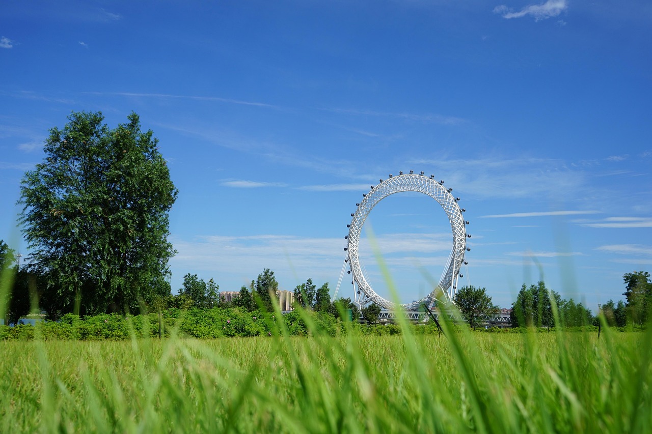 成都西站迈向现代化交通枢纽的重要步伐最新动态