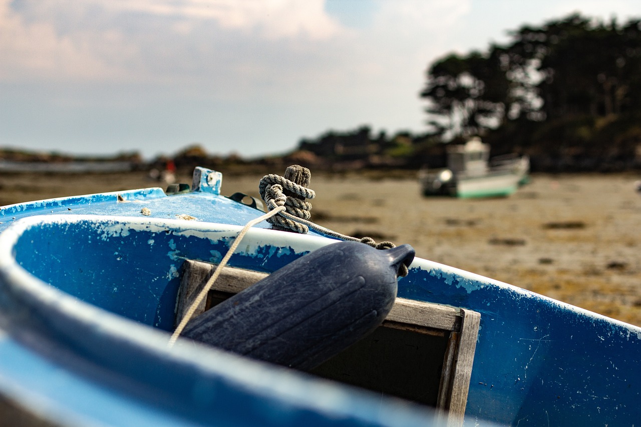 台湾最新疫情动态,全面应对,守护家园安全