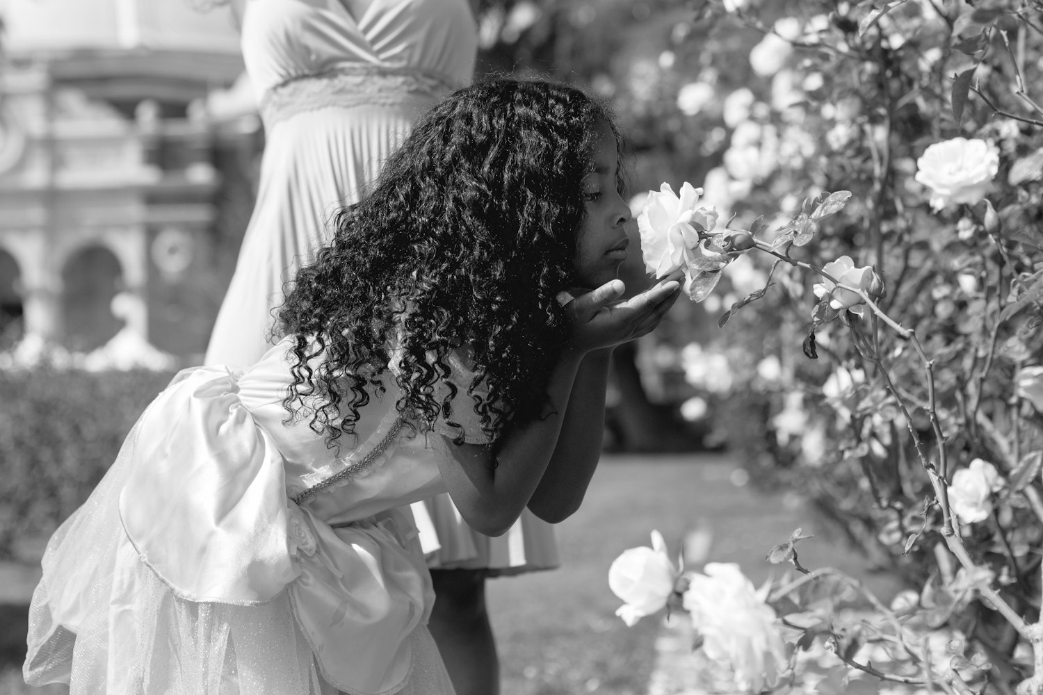 逆境中的坚韧与真实，明星遭遇黑料的心酸历程