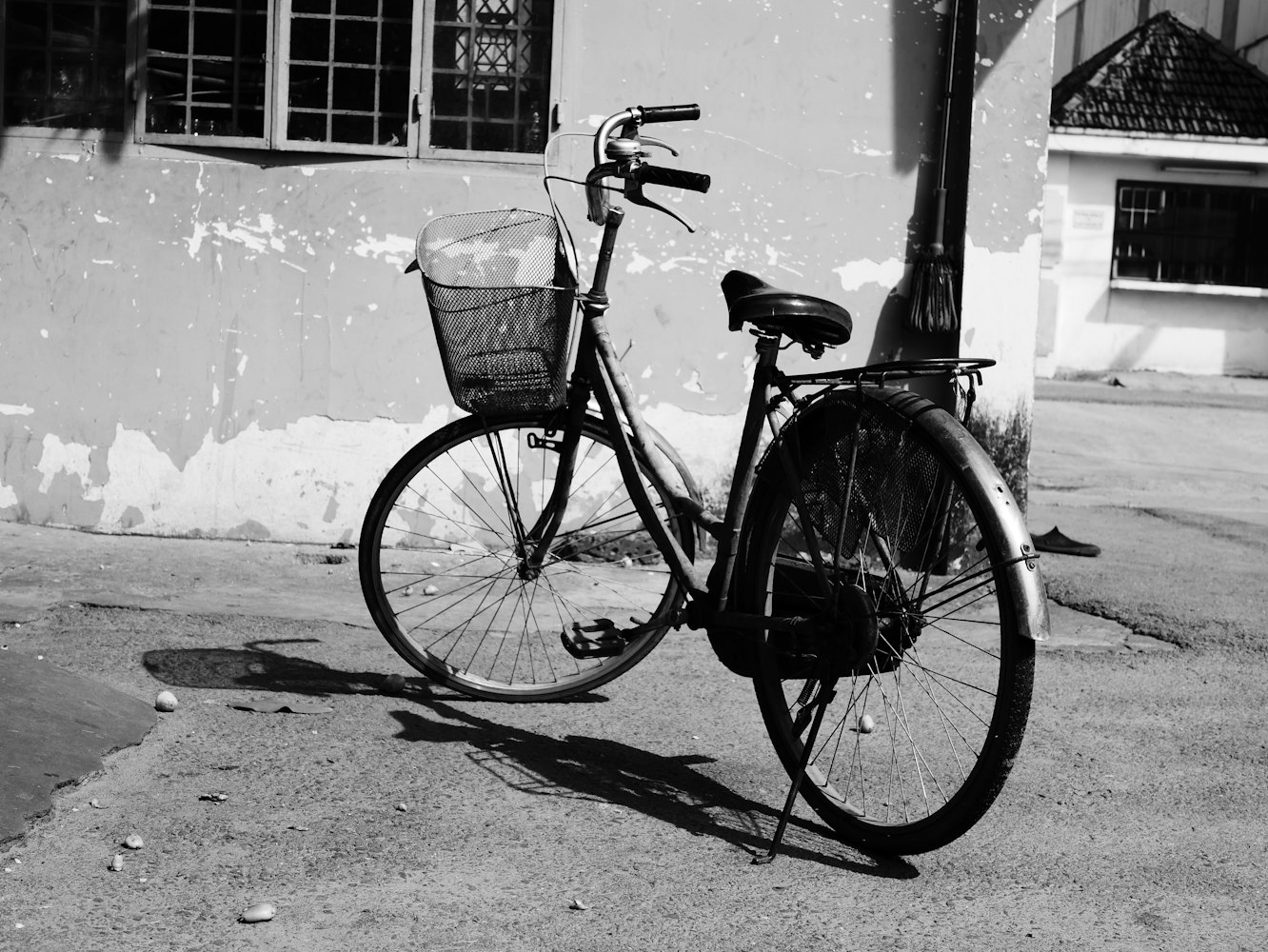 台铃新款电动车上市,科技与绿色出行的完美融合