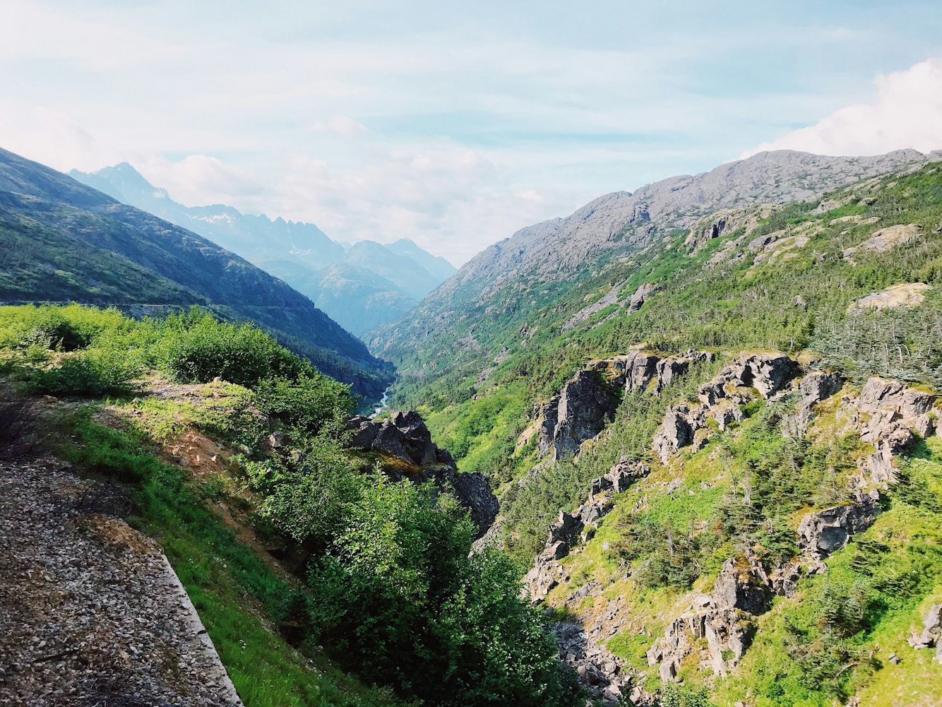 乐井快速通道最新进展动态报告