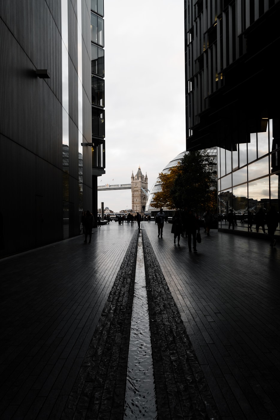 铜冠一品江山最新资讯,城市发展的璀璨明珠动态更新