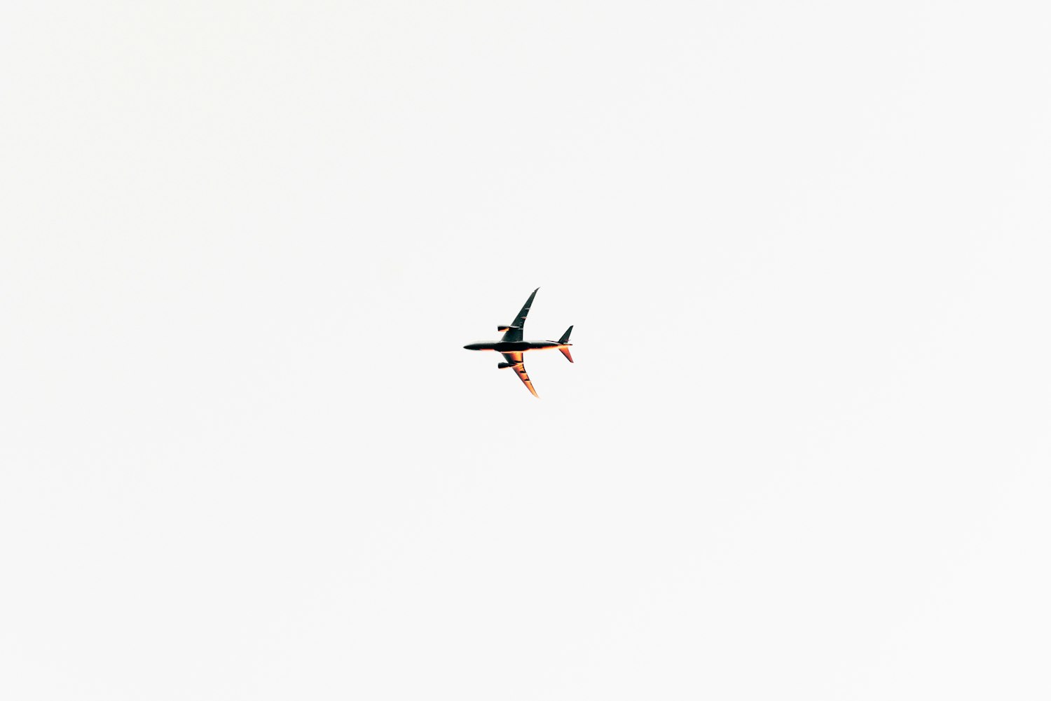 国风塑业股票最新动态及分析摘要