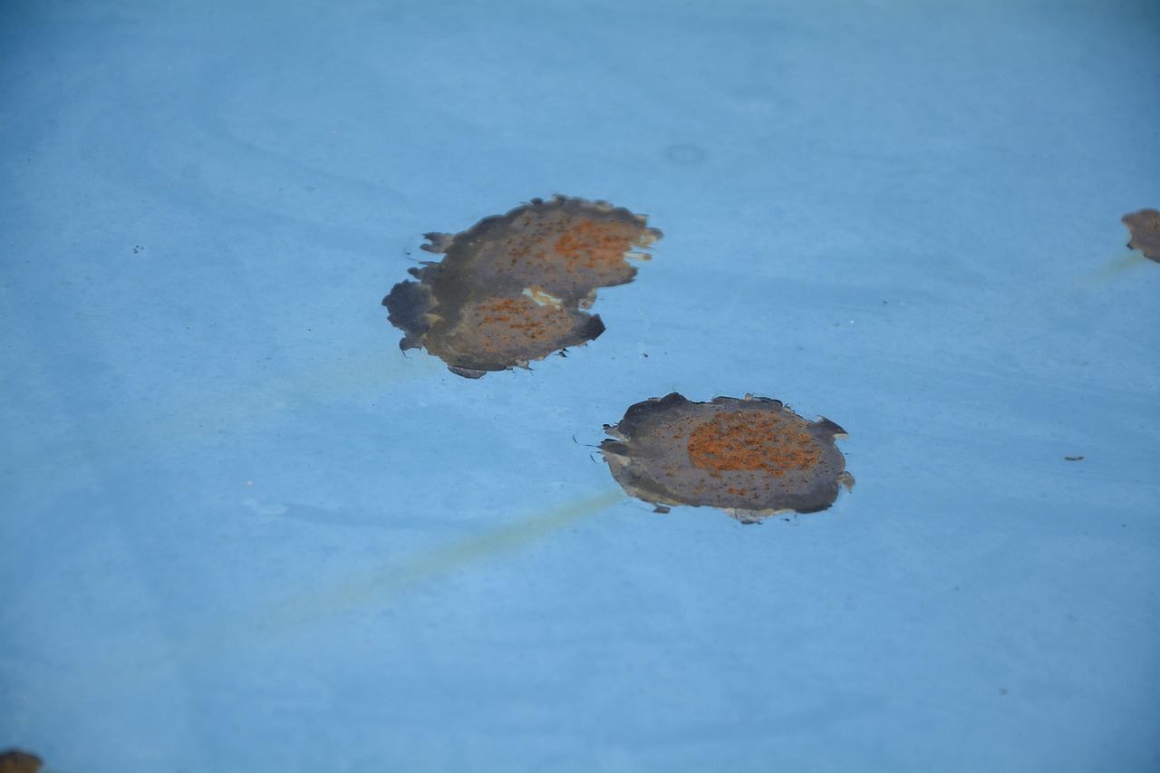 2017定兴车祸最新动态回顾,事故分析与影响