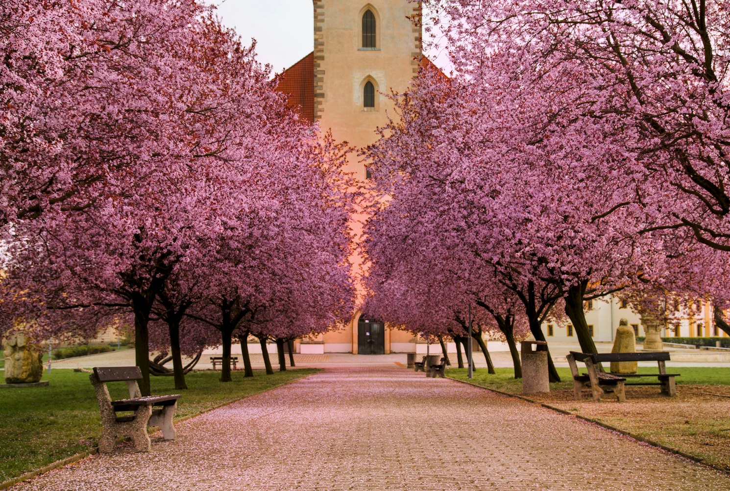 樱花校园最新版本的探索与体验之旅
