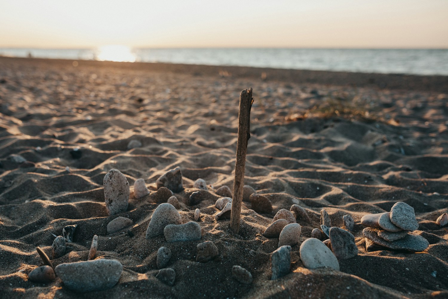 神华集团引领行业创新,推动可持续发展最新动态揭秘