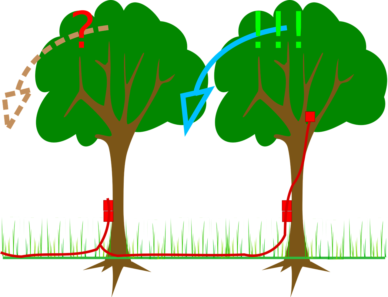 今日国际军事新闻快讯,全球军事动态深度解析与快讯速递