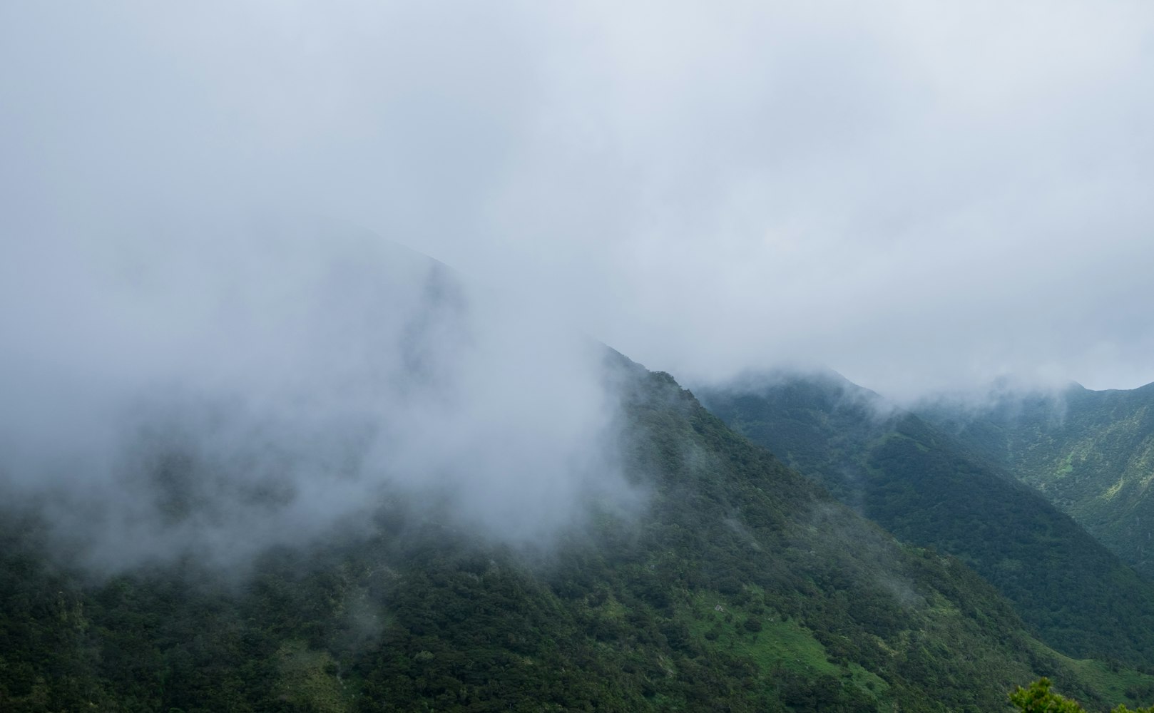 揭开神秘面纱,寻鬼作乱最新动态与真相探索