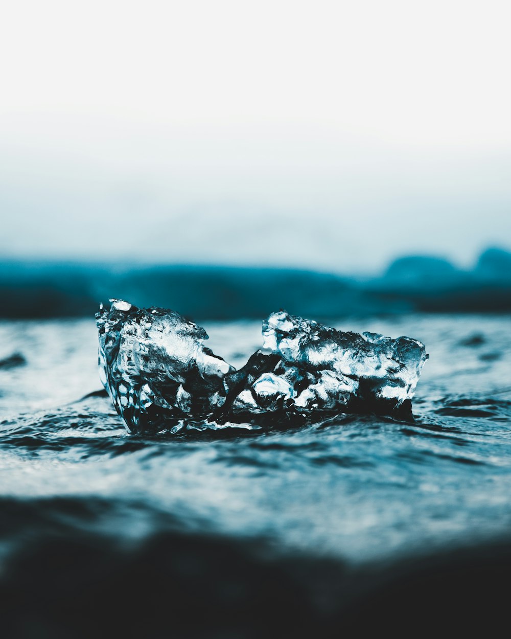 霍祈君最新微博动态揭秘,探索未知,分享生活细节的魅力