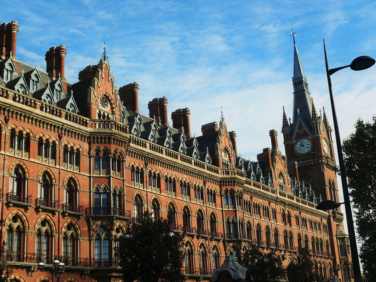 葱价最新信息,市场动态、影响因素及未来趋势深度解析