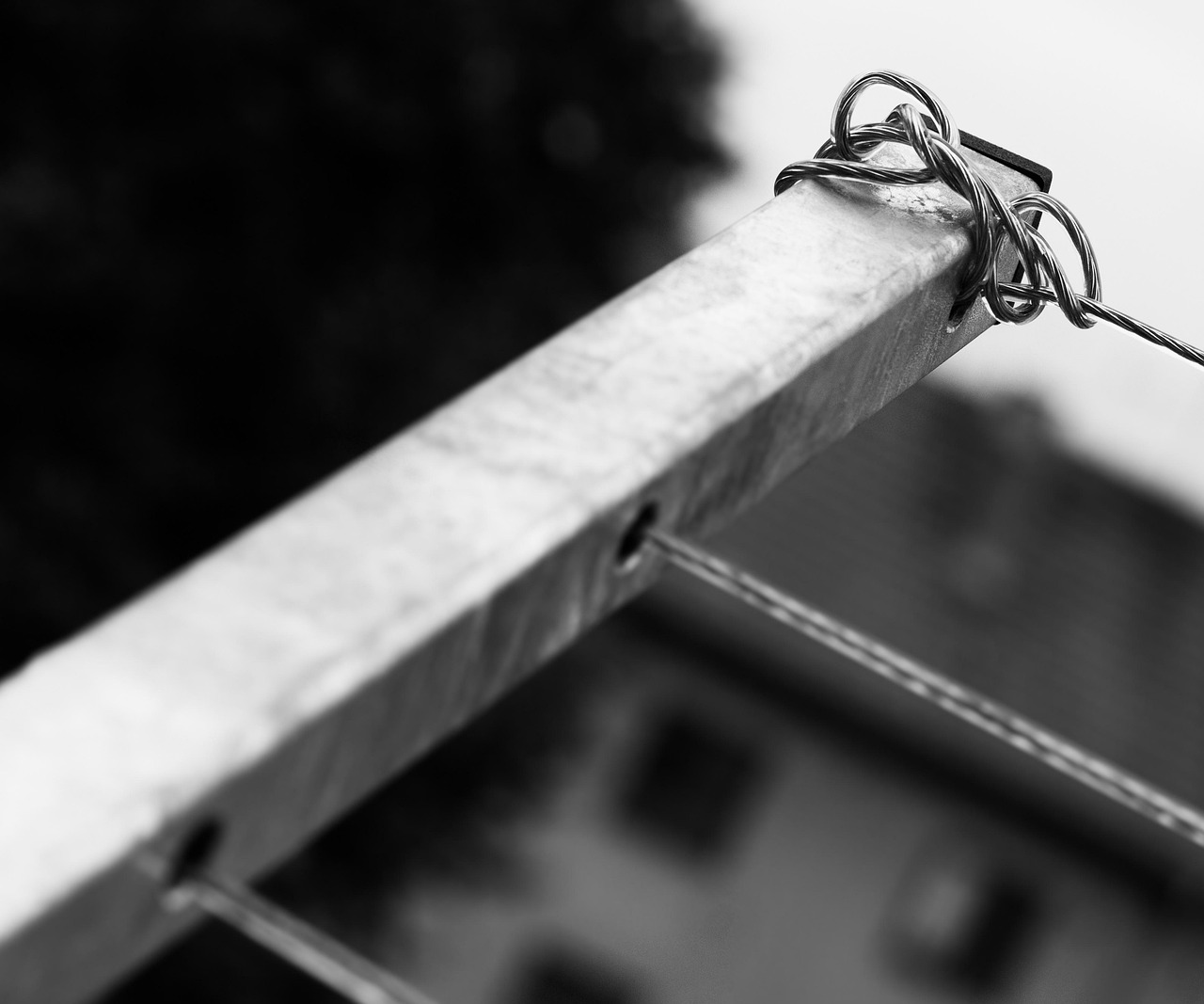 2025年12月10日 第5页