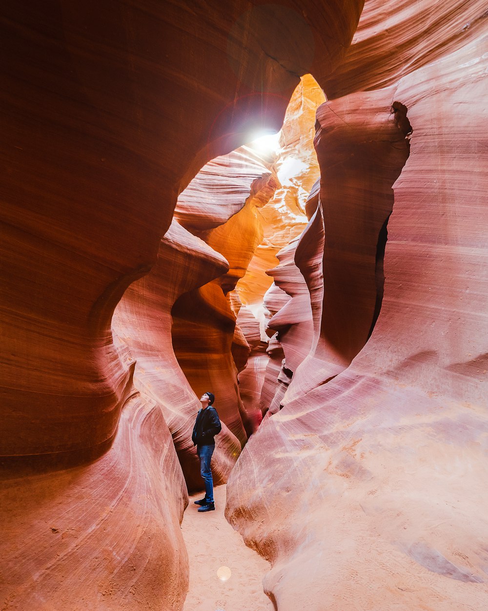 吴若羚新作品,探索艺术的新境界之美