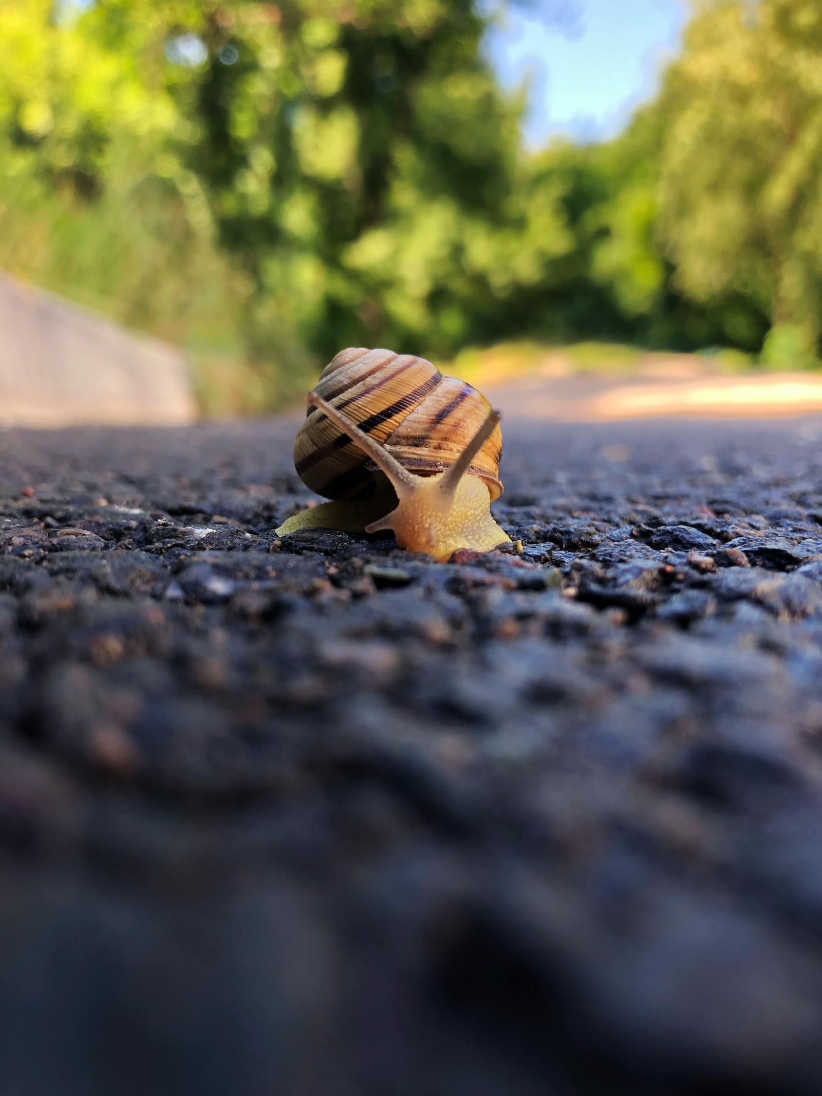 最新经典母亲题材小说，母爱的深沉力量与情感传奇