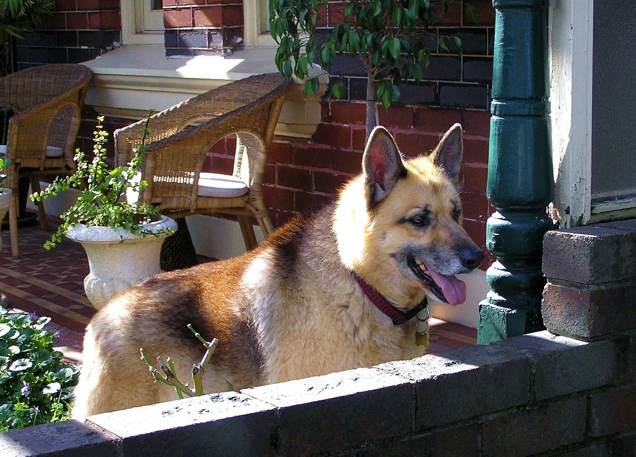 梅塘新村搬迁动态,深入观察社区变迁之路