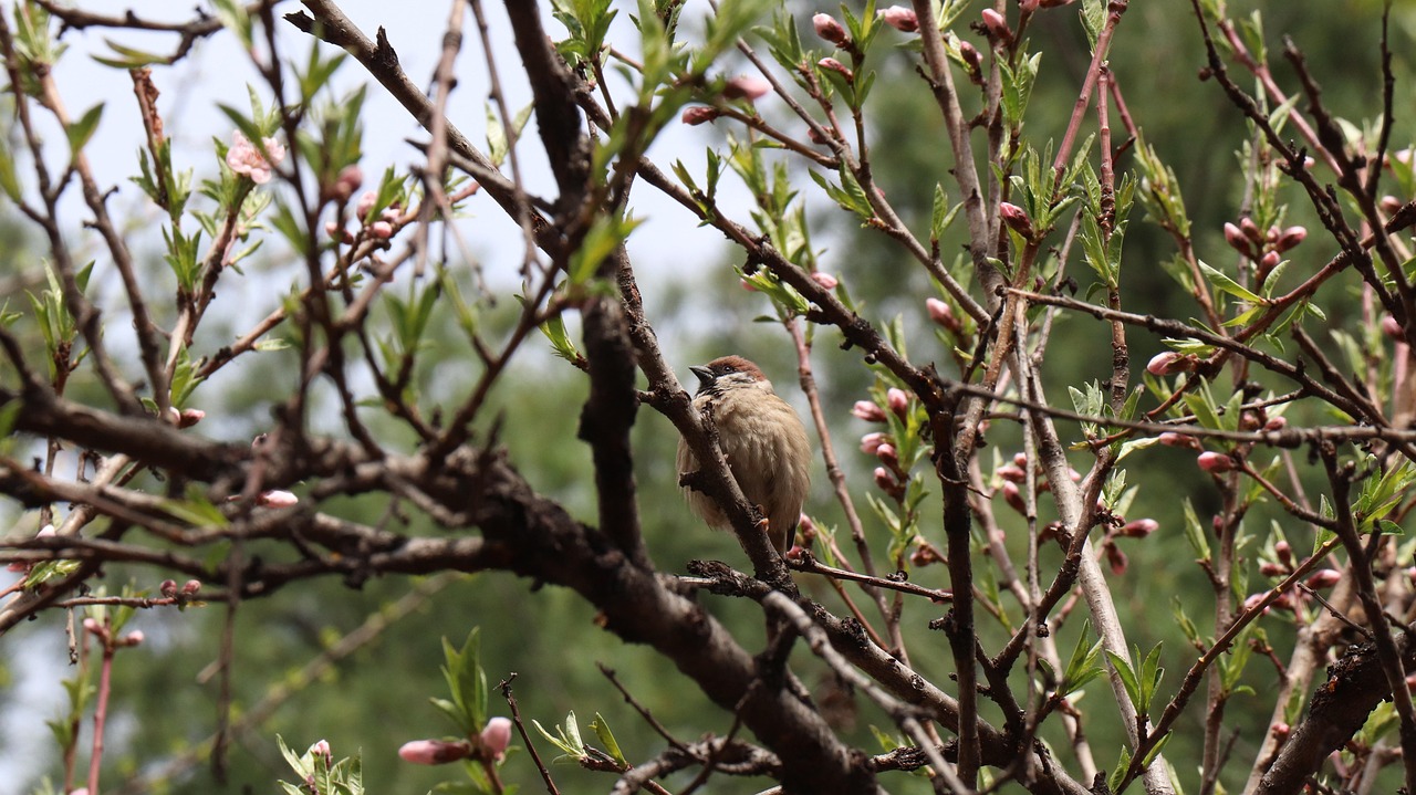 起点平台最新动态与现状概述