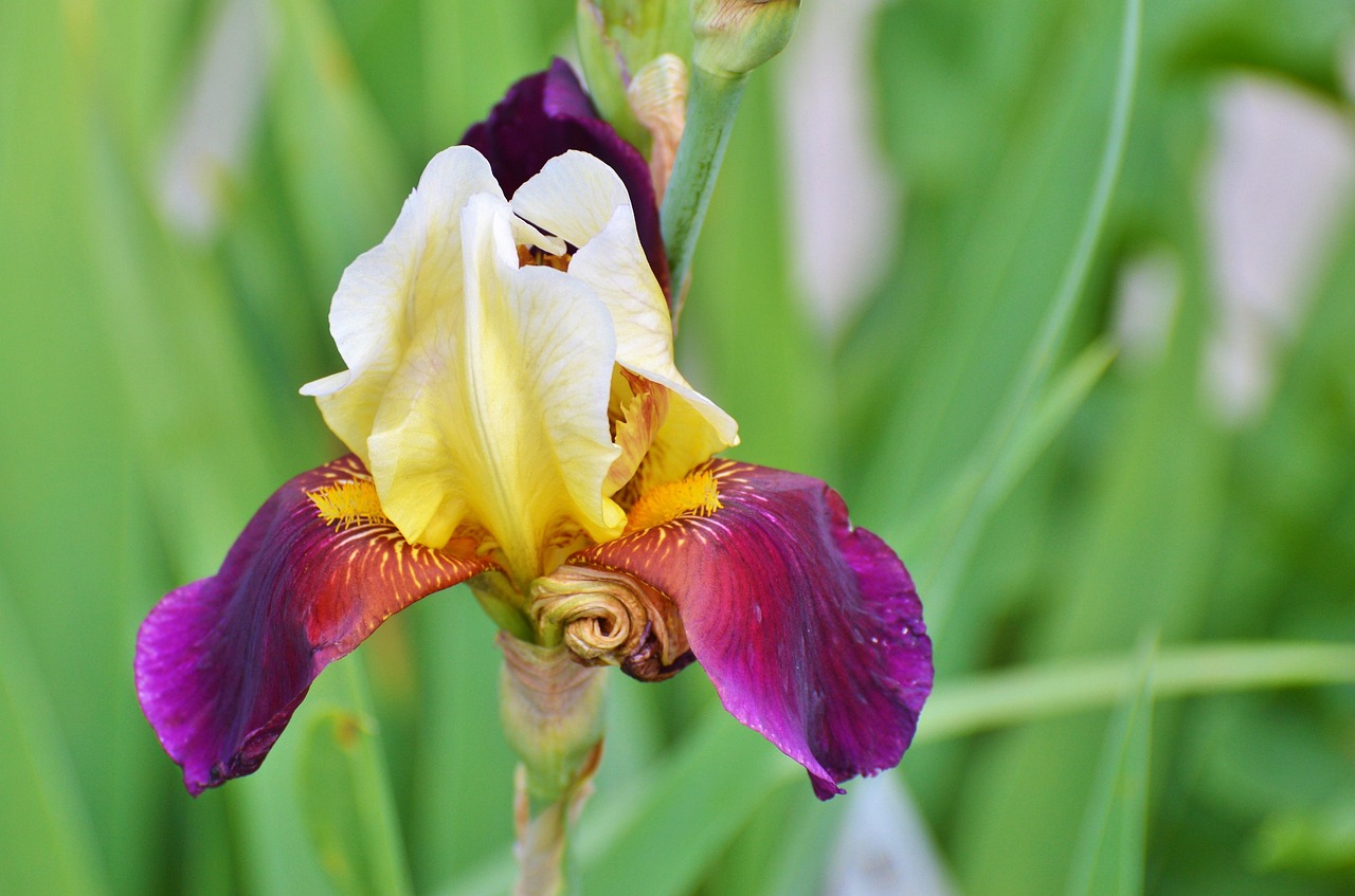 12月2日明星诞生记,星光熠熠的诞生时刻