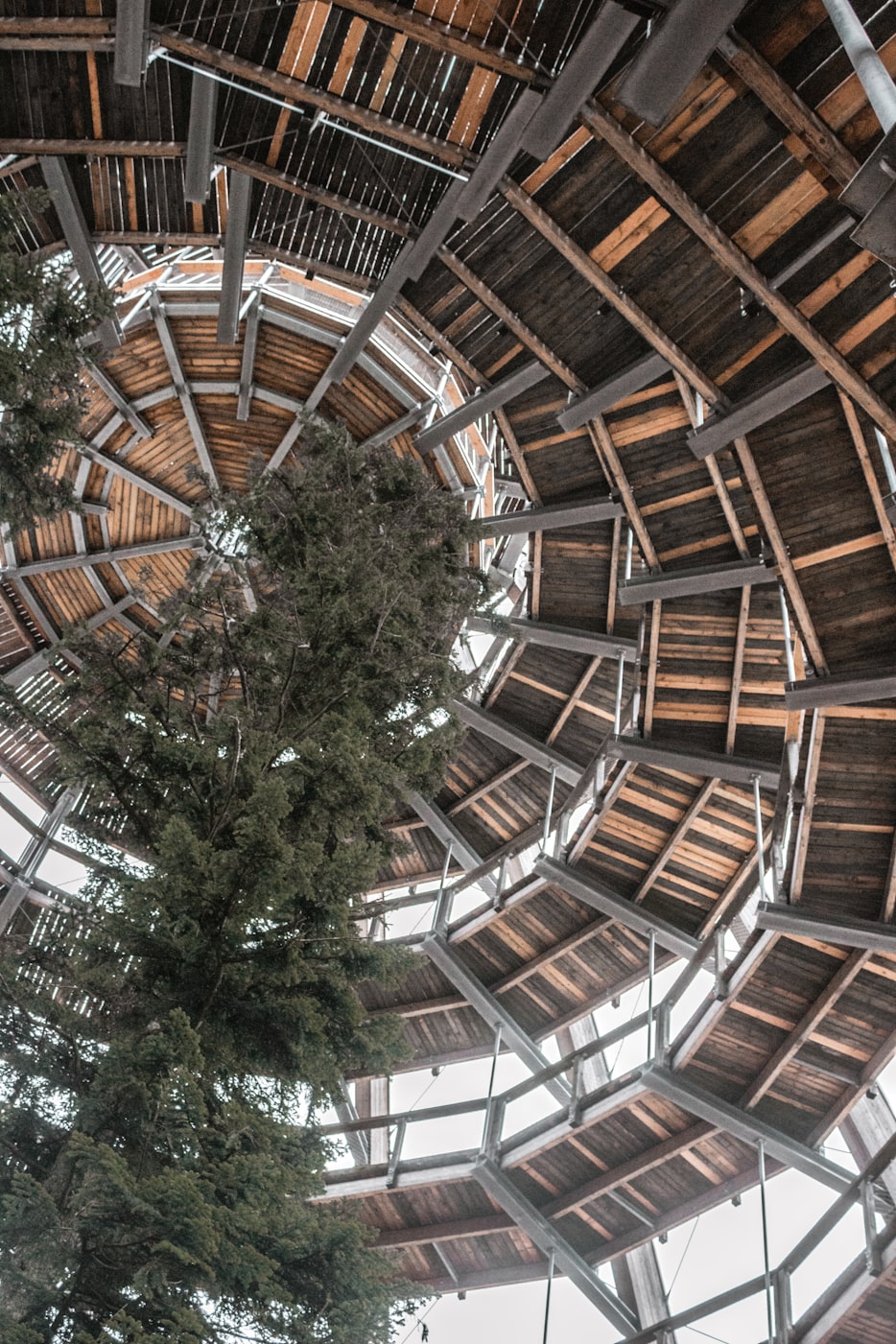 CL1024社区新址,重塑城市生活的起点