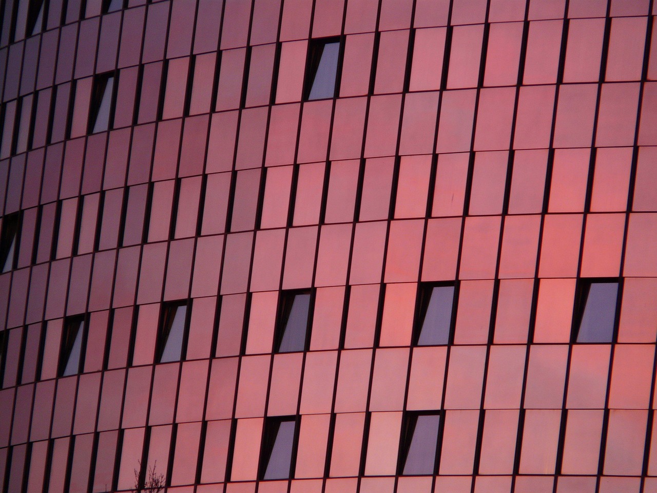 御宅屋新动态揭秘,现代宅文化的新趋势探索