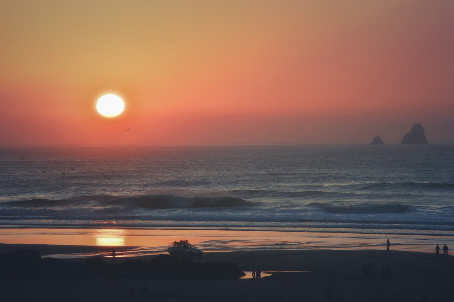 编程榜单更新揭秘,探索技术之巅的最新动态