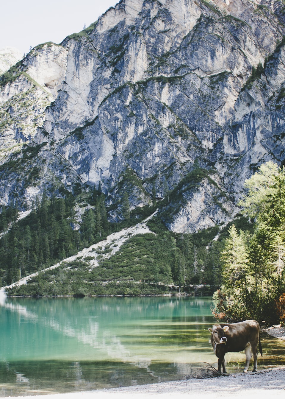 HAP最新资讯,引领未来科技趋势的动态播报