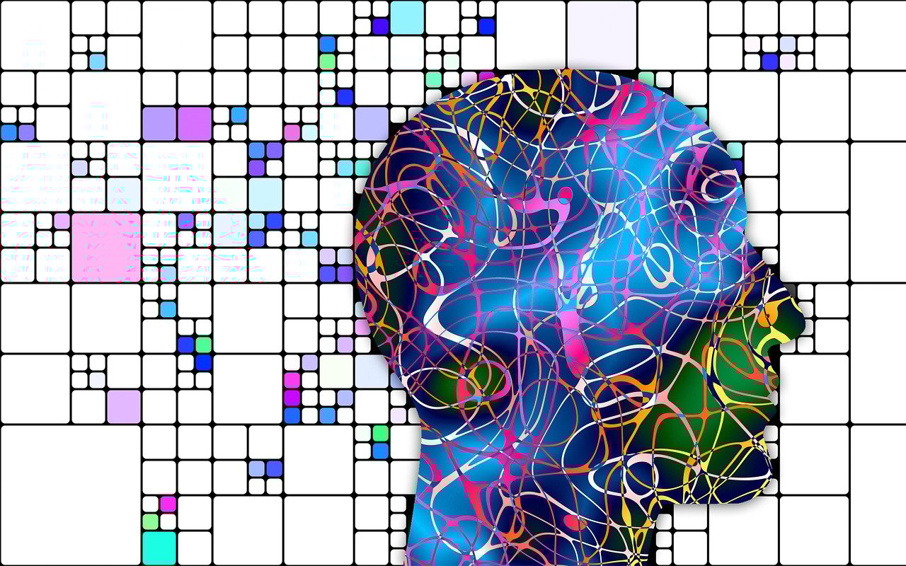 新中基股票深度探索与洞察