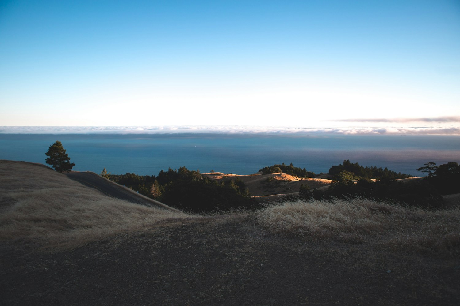玛娃最新动态,探索未知,勇往直前