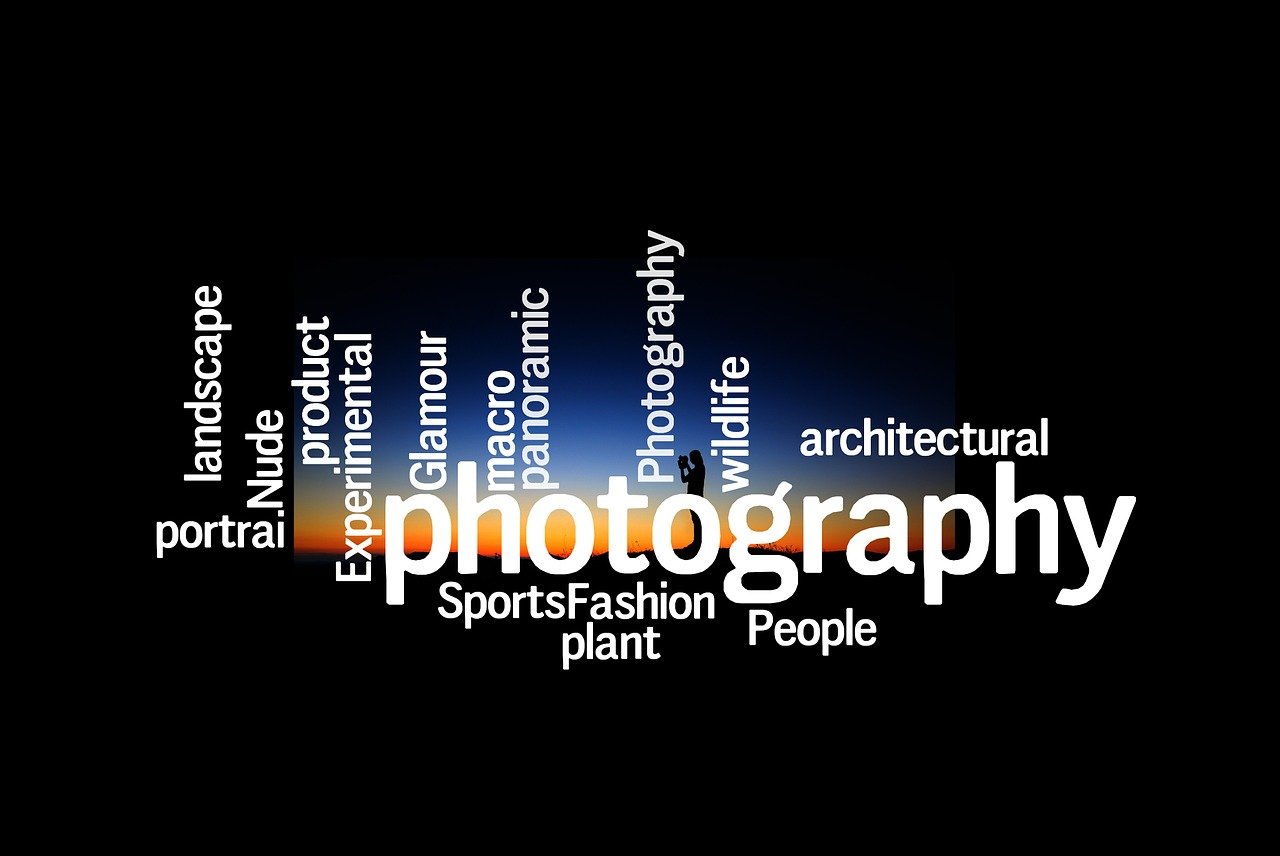 全民电影网,引领数字时代电影新纪元