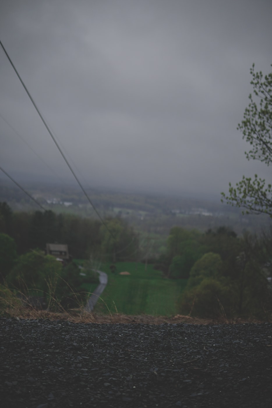 义乌网约车动态,城市出行的新篇章