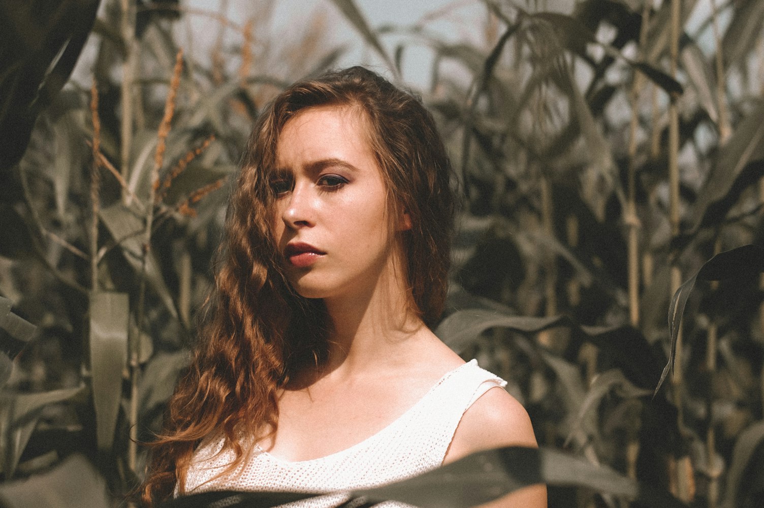 女性性电影的探索,艺术、挑战与争议