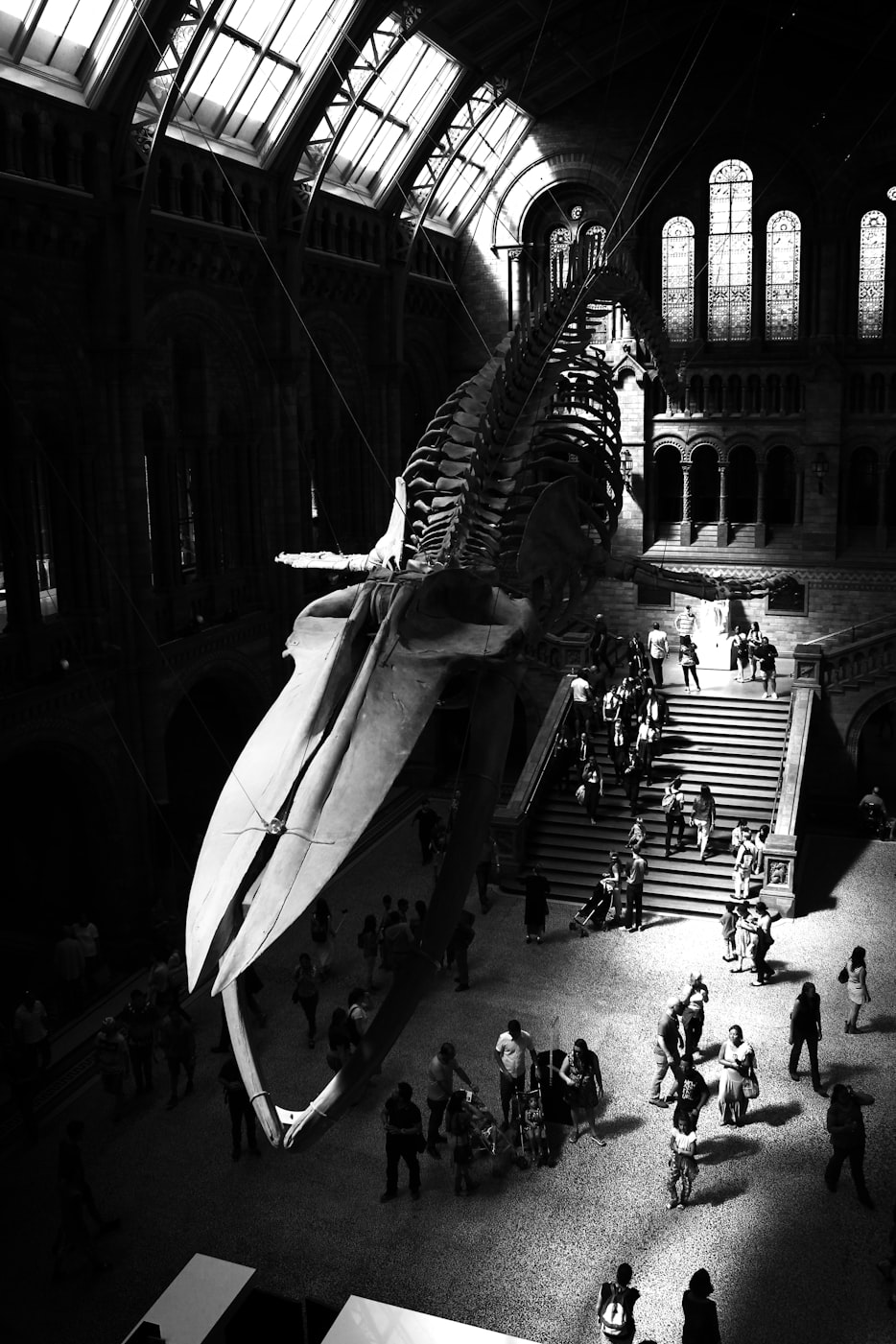 奸臣电影在线观看,历史、戏剧与影像的完美交织