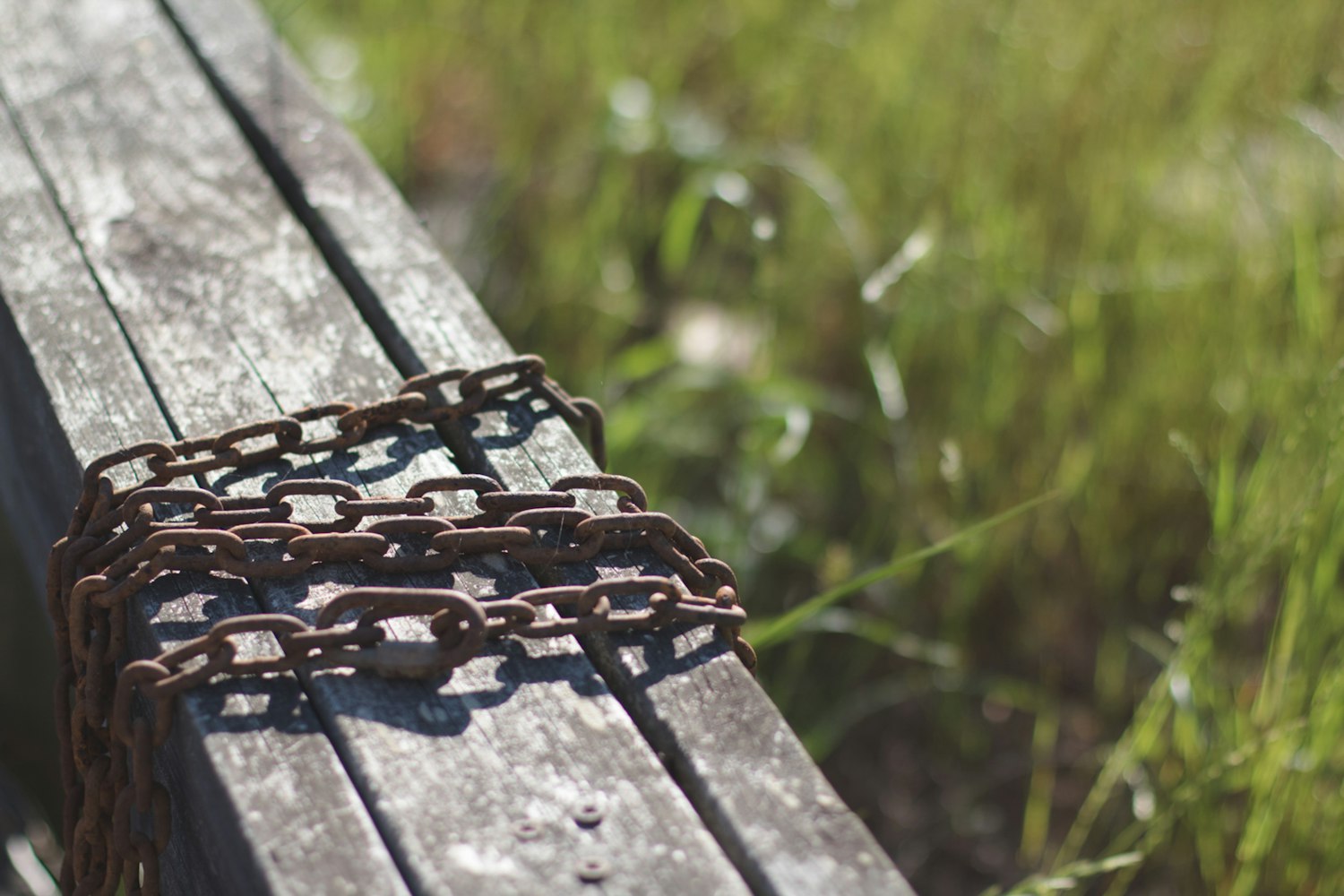 探索领域的新进展与未来趋势聚焦,最新动态69(以某领域为例)