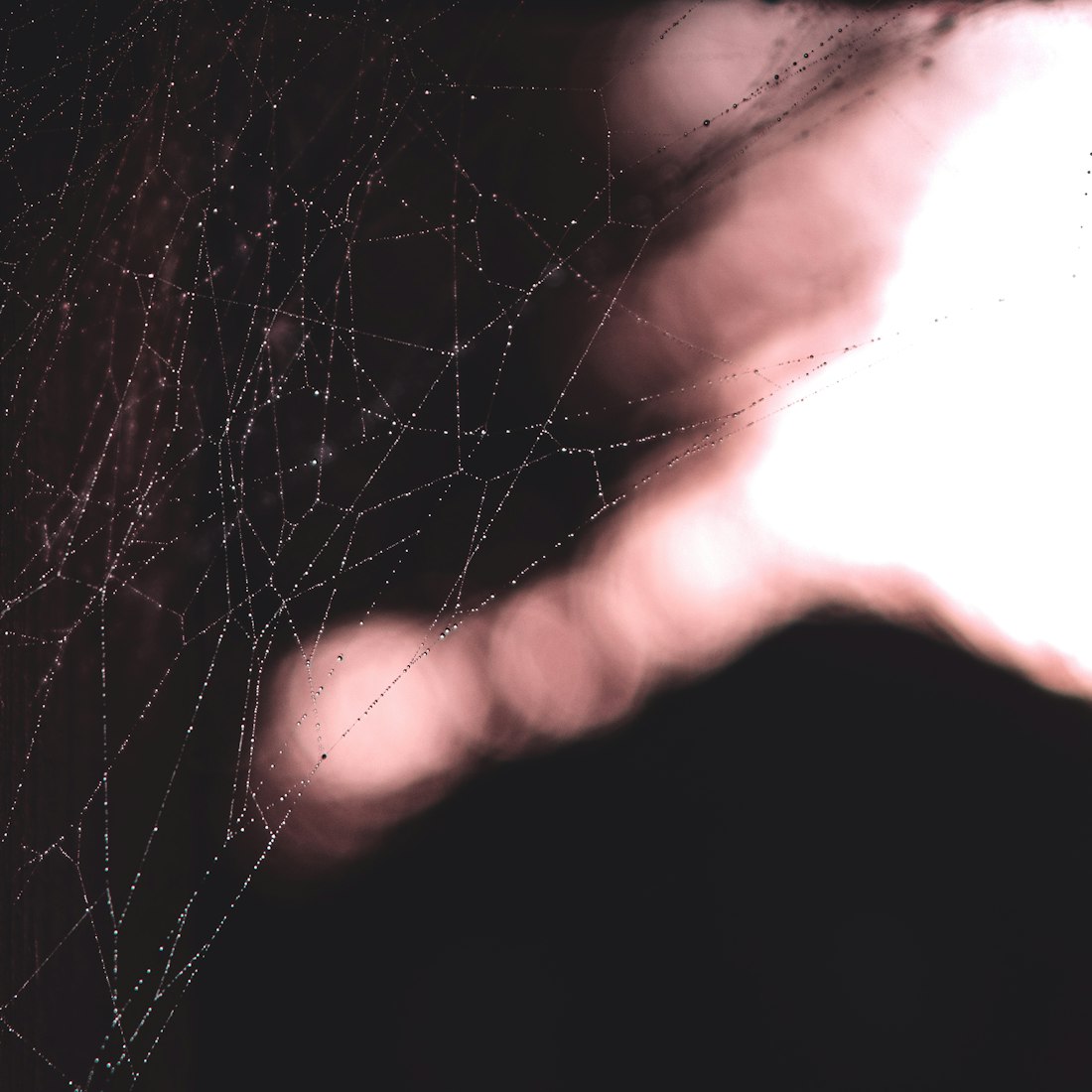 富阳19楼最新动态,瞩目焦点,城市发展的前沿资讯