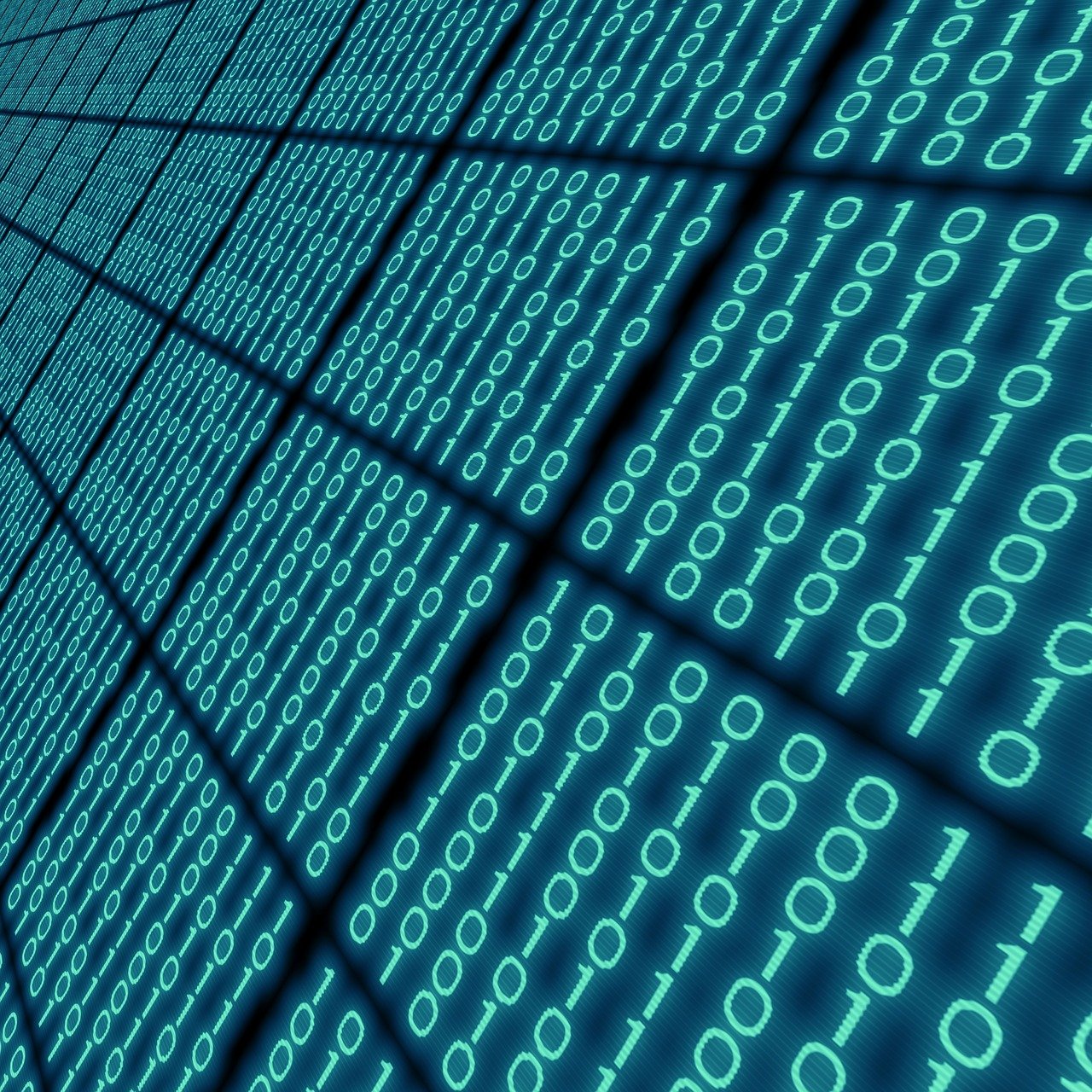 期权与股票,投资领域的两大核心要素解析