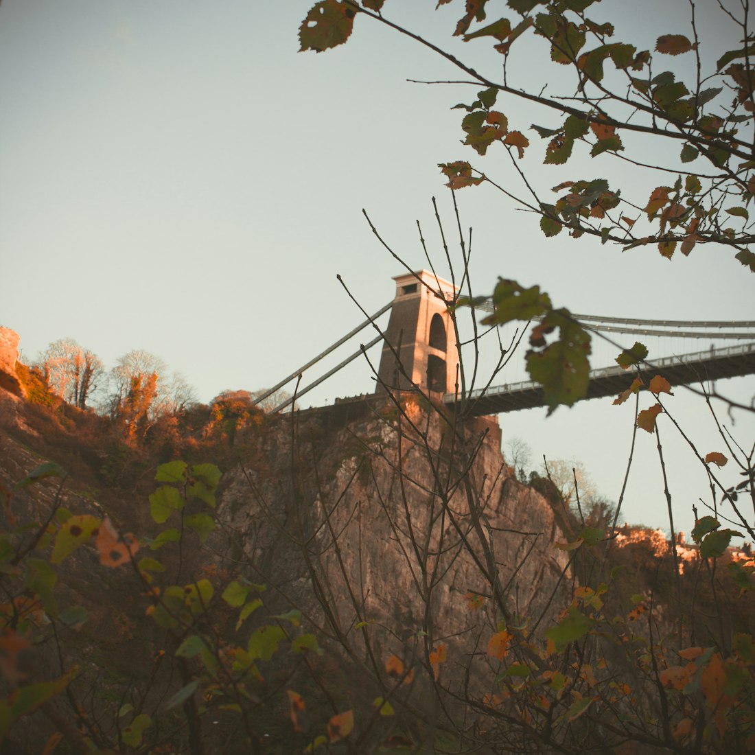 全球战略动态,深度洞察与全球视野分析