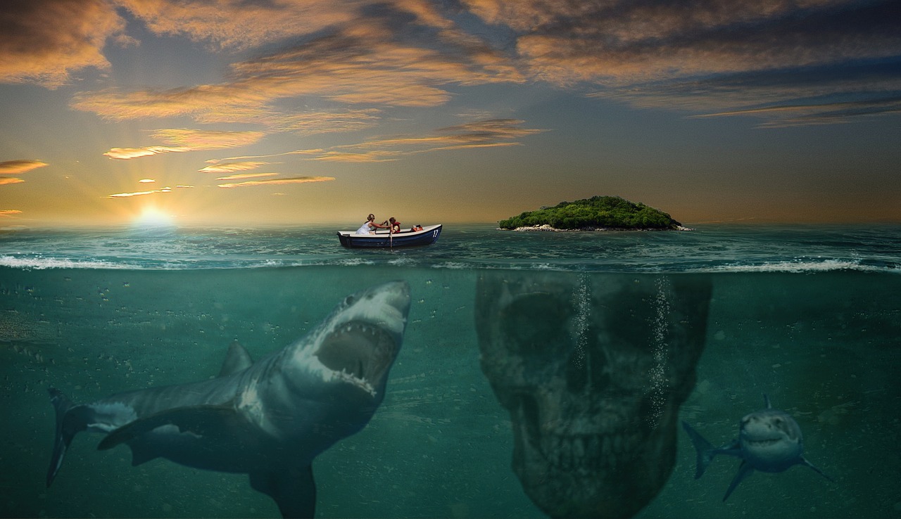 大连长兴岛最新动态揭秘,前沿资讯一网打尽