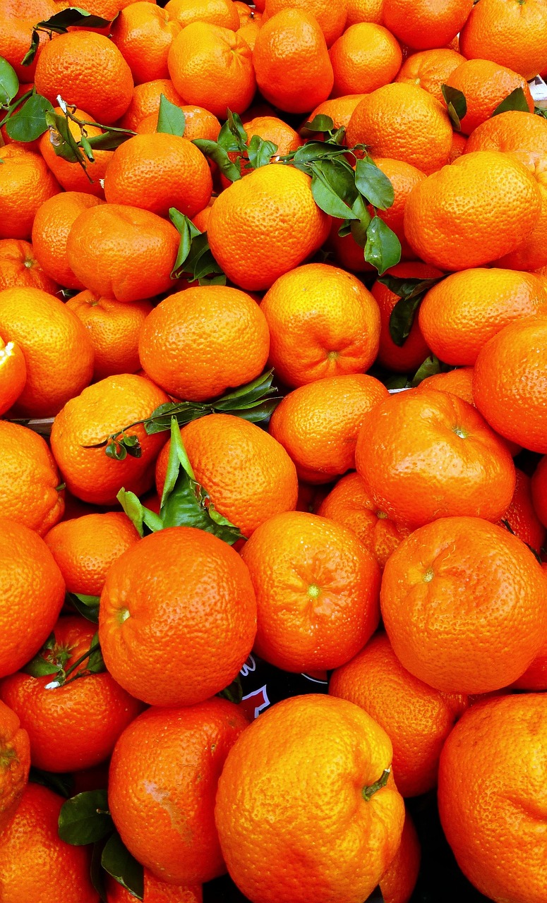 今年柑桔行情深度分析,市场走势与预测