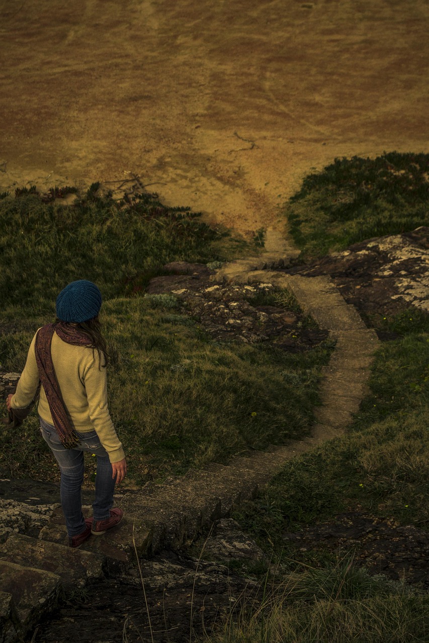 合作社最新动态，创新模式探索与持续发展路径展望