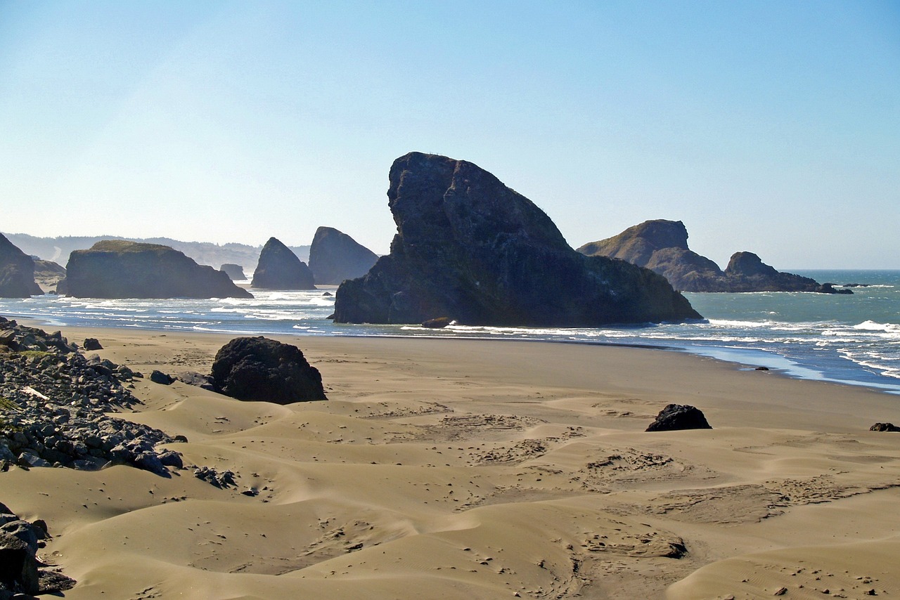 中圆实时价格动态及其影响因素分析