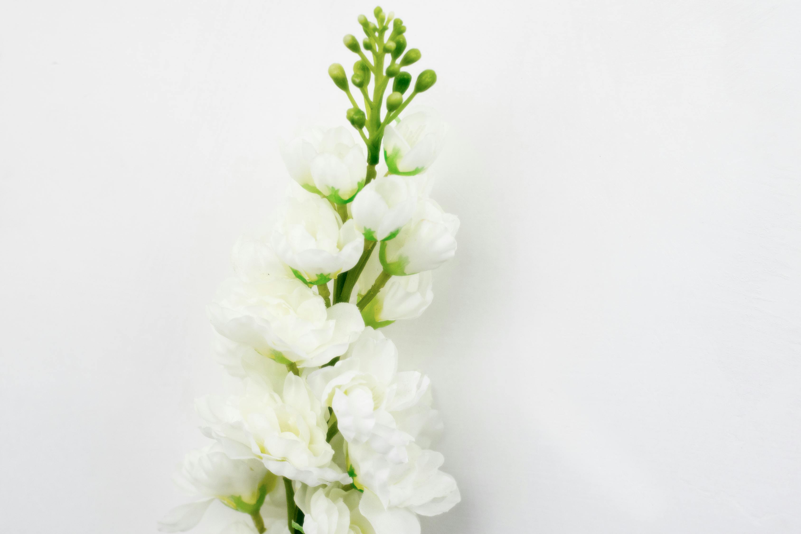 聚焦股票行情,深度解析300364股票动态与趋势分析