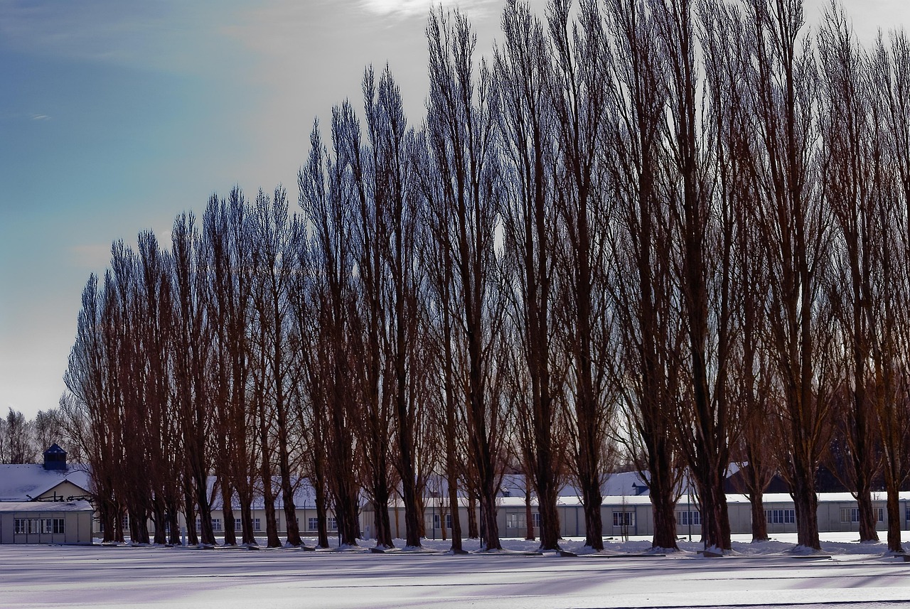 新时代下的监狱管理与改革动态
