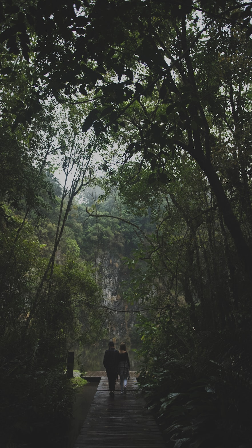 探索游戏世界,最新资讯与动态一网打尽