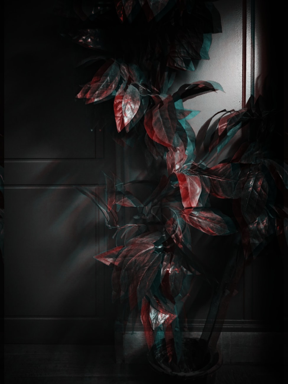 都市渡灵人楚风,最新传奇篇章开启