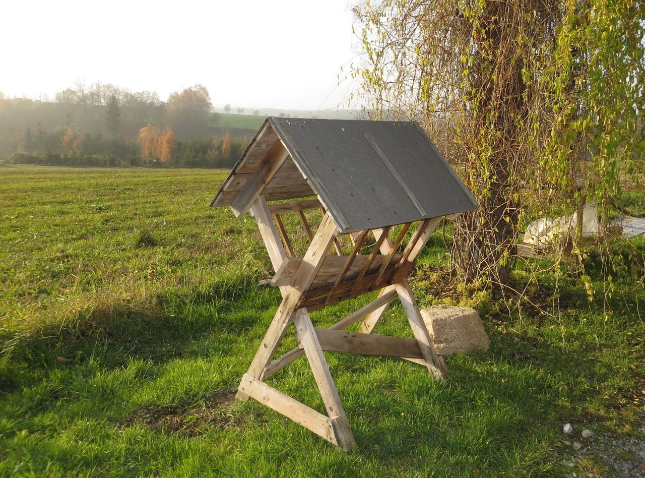 西泗上村最新动态，乡村振兴与社区发展的步伐推进中