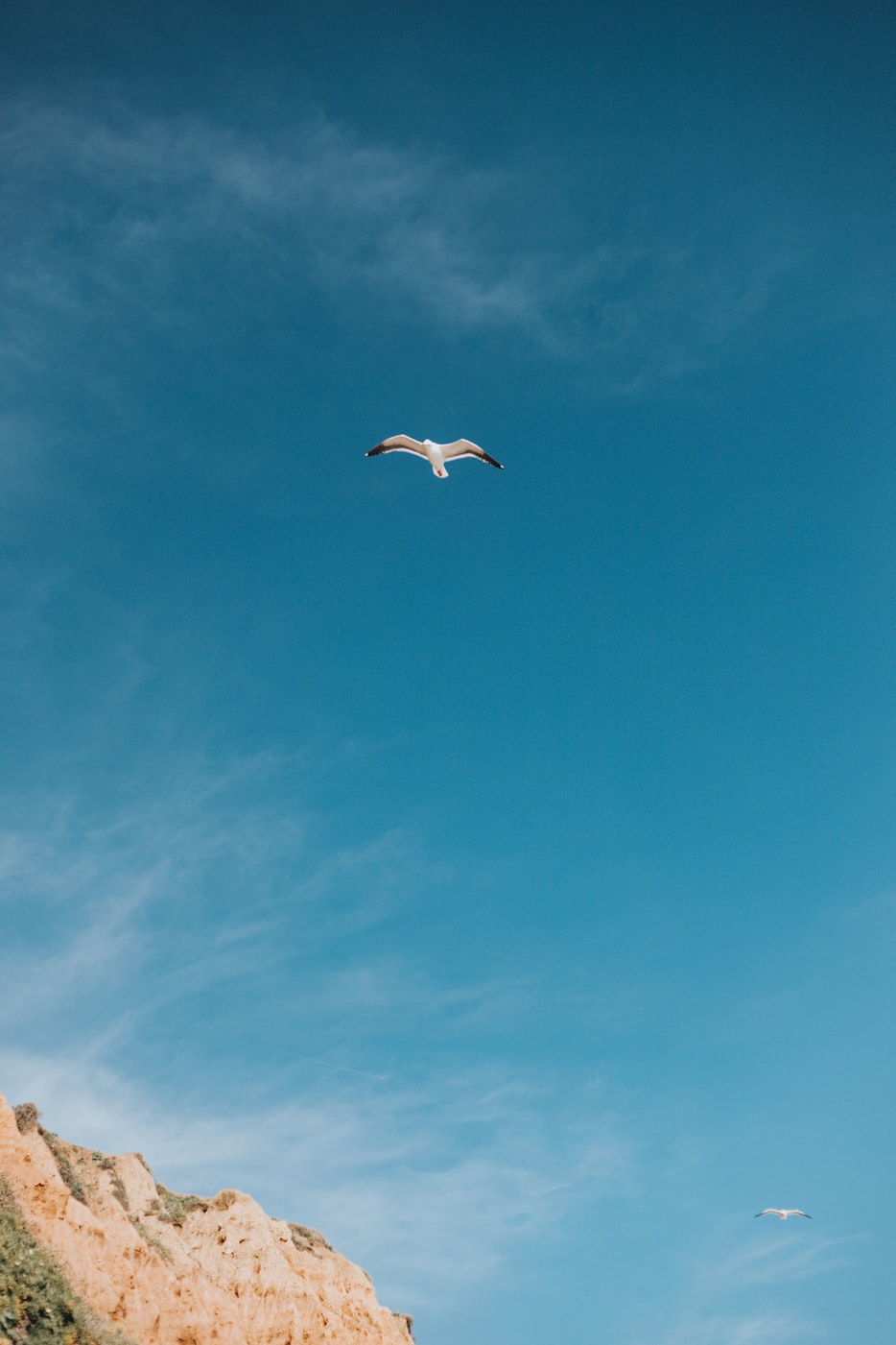 大王镇出租房信息更新,最新动态与优势探索